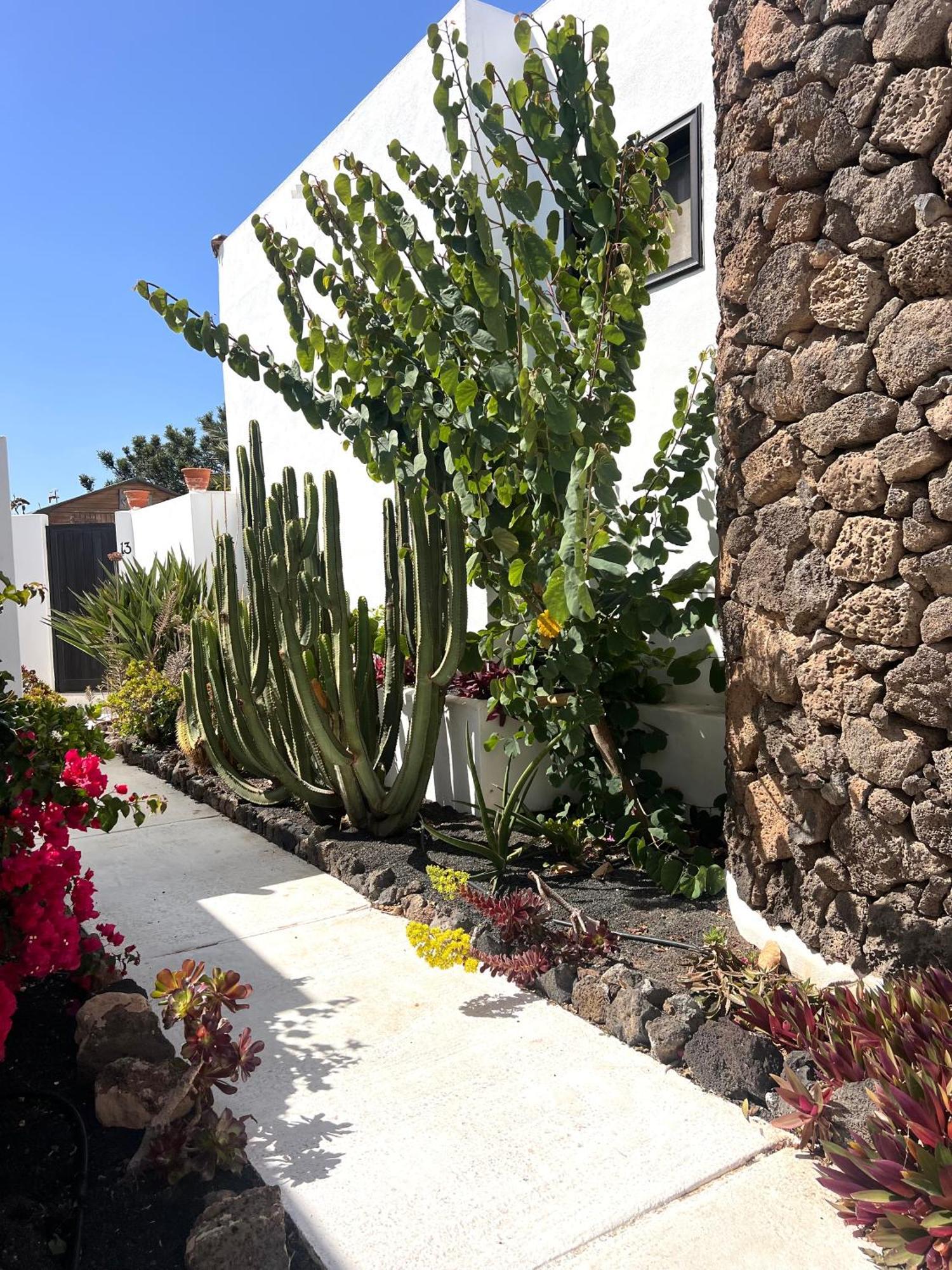 Oasis En Lanzarote Villa Costa Teguise Eksteriør billede