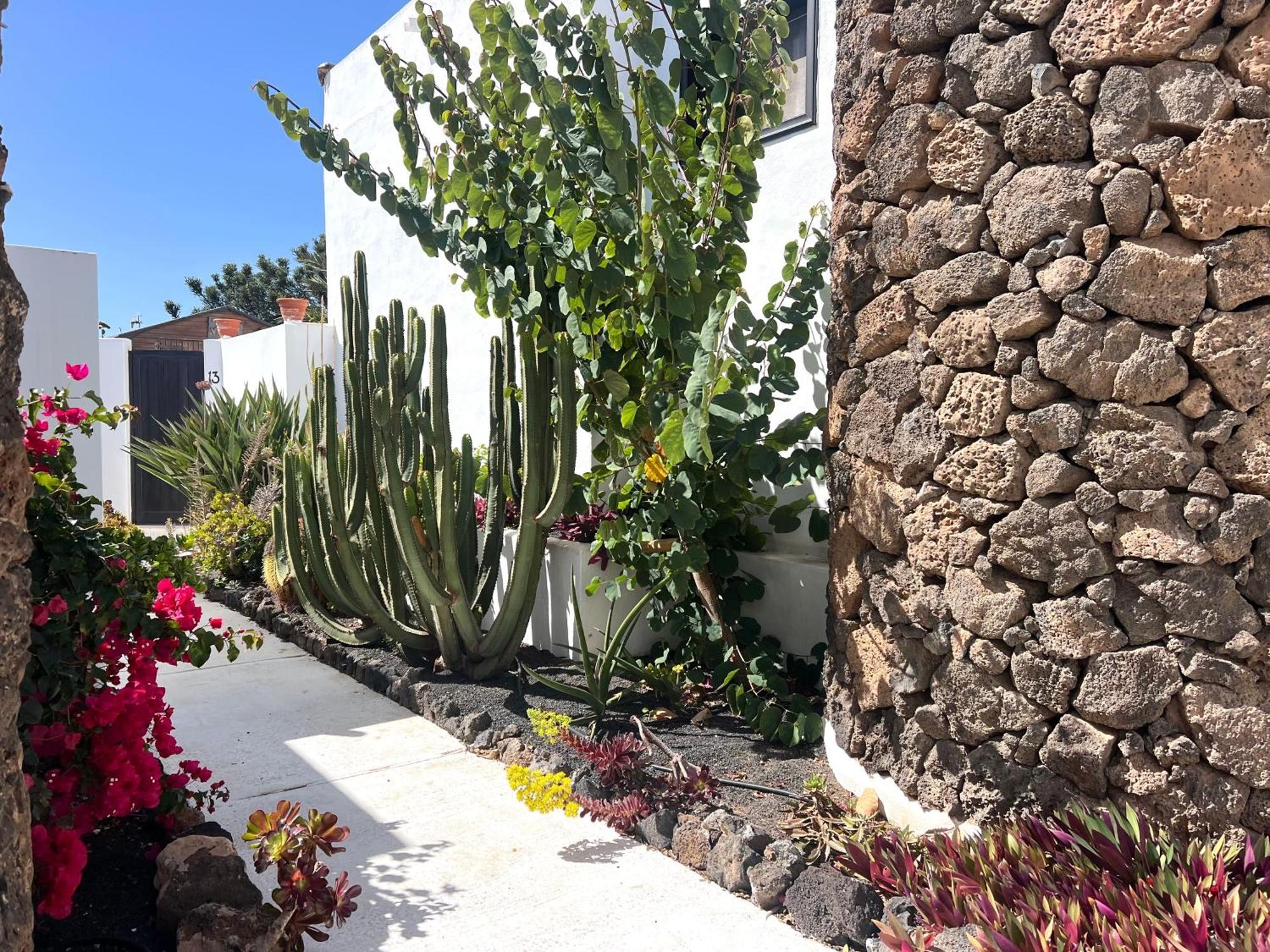 Oasis En Lanzarote Villa Costa Teguise Eksteriør billede