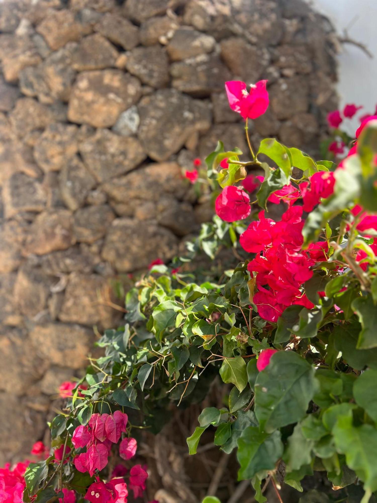 Oasis En Lanzarote Villa Costa Teguise Eksteriør billede